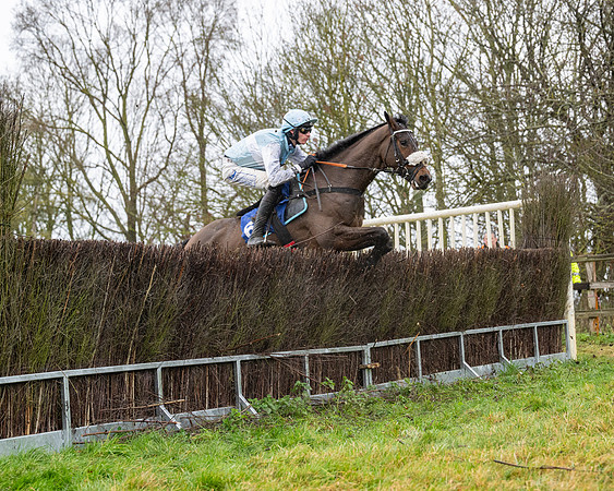 Race 6 -  The Restricted Race (61 of 119)