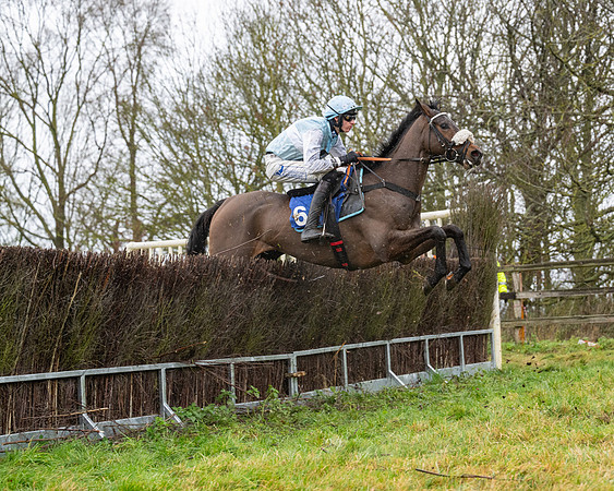 Race 6 -  The Restricted Race (63 of 119)