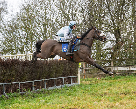 Race 6 -  The Restricted Race (65 of 119)