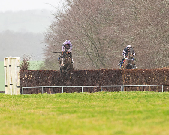 Race 6 -  The Restricted Race (69 of 119)