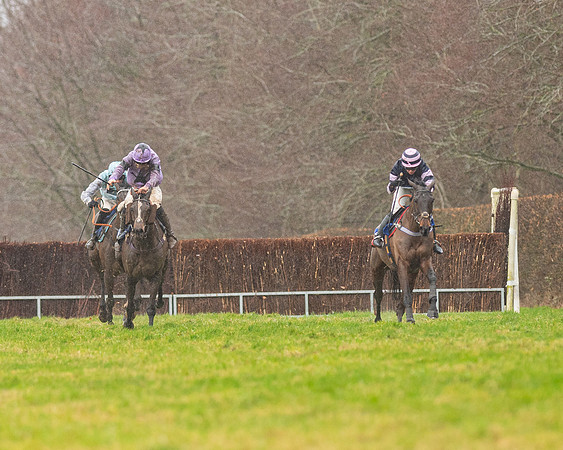 Race 6 -  The Restricted Race (75 of 119)