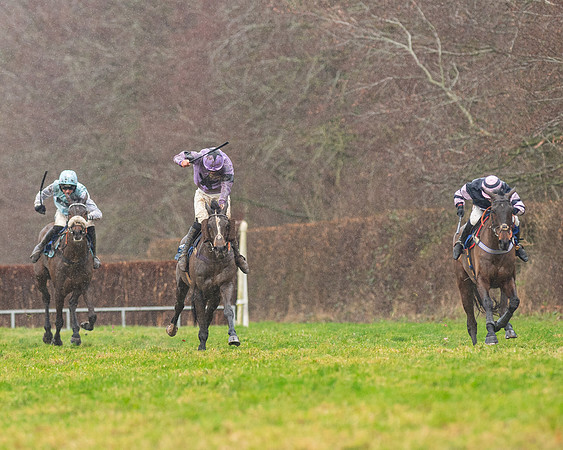 Race 6 -  The Restricted Race (80 of 119)