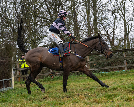 Race 6 -  The Restricted Race (87 of 119)