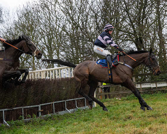 Race 6 -  The Restricted Race (85 of 119)