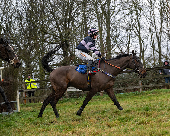 Race 6 -  The Restricted Race (88 of 119)