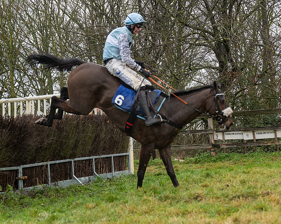 Race 6 -  The Restricted Race (90 of 119)
