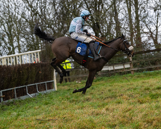 Race 6 -  The Restricted Race (92 of 119)