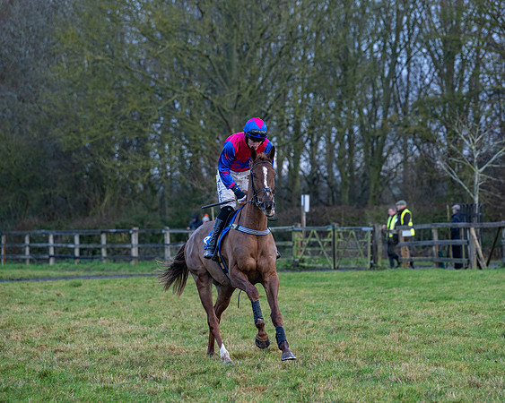 Race 7  -  The Maiden Conditions Race (10 of 190)