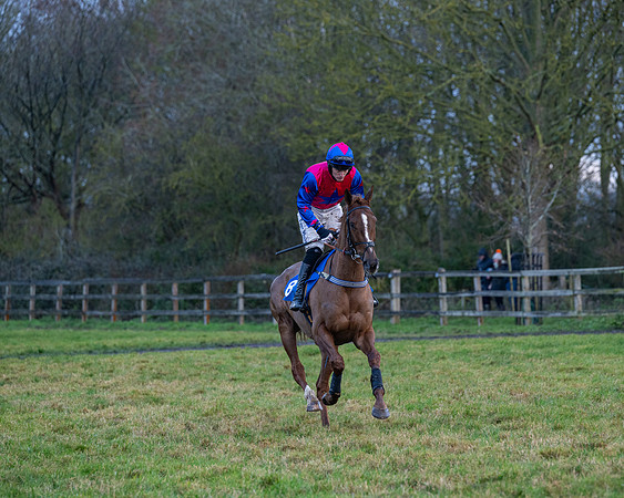 Race 7  -  The Maiden Conditions Race (9 of 190)
