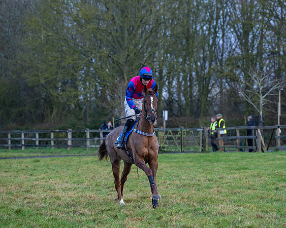 Race 7  -  The Maiden Conditions Race (11 of 190)