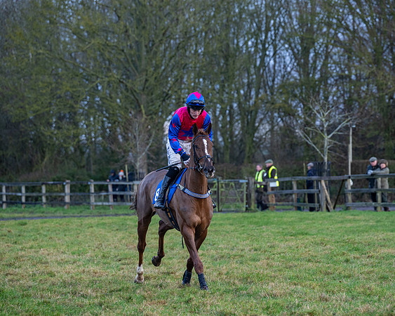 Race 7  -  The Maiden Conditions Race (13 of 190)