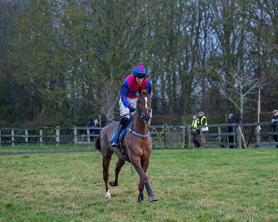 Race 7  -  The Maiden Conditions Race (12 of 190)