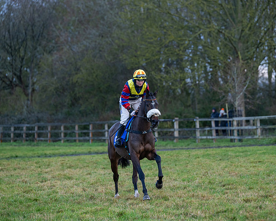 Race 7  -  The Maiden Conditions Race (14 of 190)