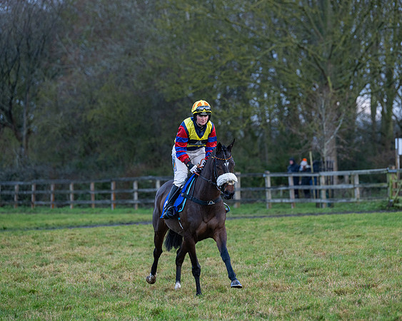 Race 7  -  The Maiden Conditions Race (16 of 190)