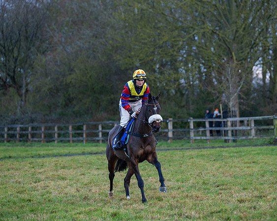 Race 7  -  The Maiden Conditions Race (15 of 190)