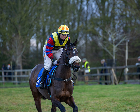 Race 7  -  The Maiden Conditions Race (17 of 190)