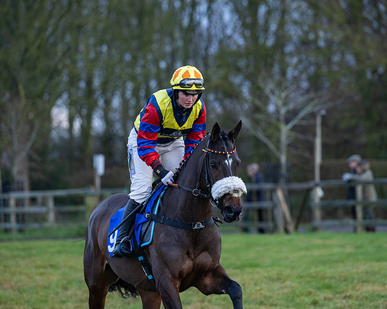 Race 7  -  The Maiden Conditions Race (18 of 190)