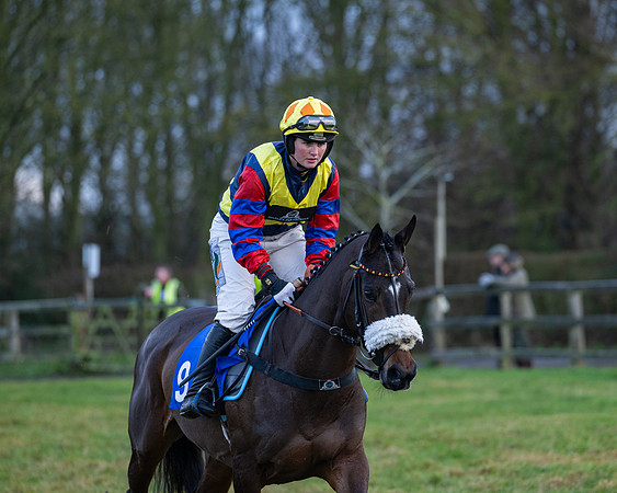 Race 7  -  The Maiden Conditions Race (19 of 190)