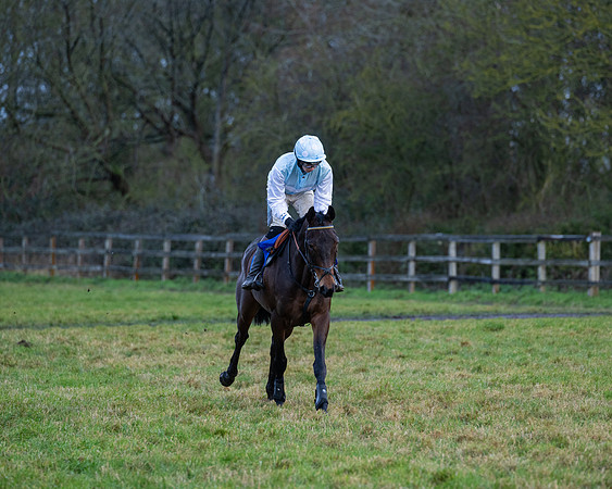 Race 7  -  The Maiden Conditions Race (21 of 190)