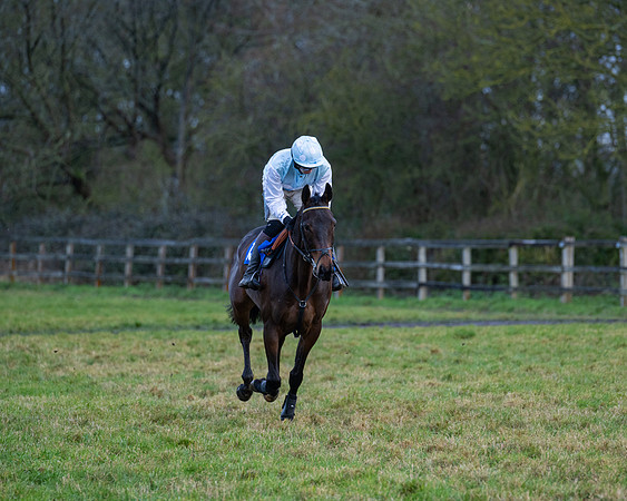 Race 7  -  The Maiden Conditions Race (22 of 190)