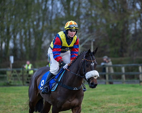 Race 7  -  The Maiden Conditions Race (20 of 190)