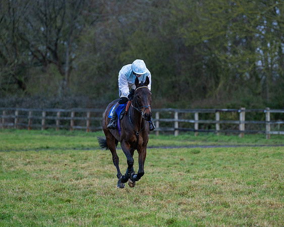 Race 7  -  The Maiden Conditions Race (23 of 190)