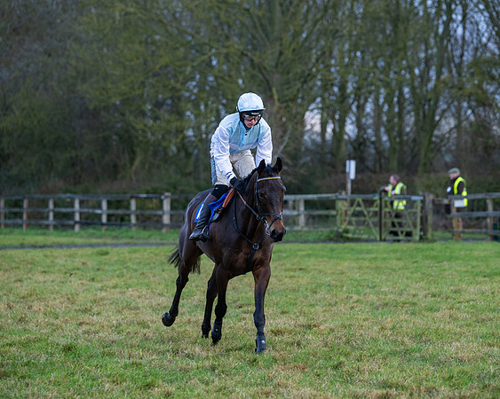 Race 7  -  The Maiden Conditions Race (26 of 190)