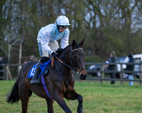 Race 7  -  The Maiden Conditions Race (27 of 190)