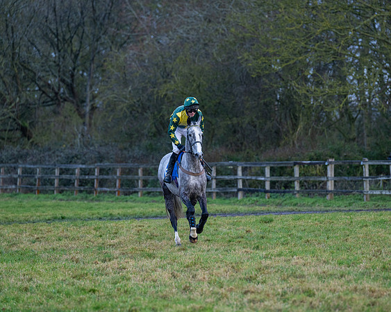 Race 7  -  The Maiden Conditions Race (31 of 190)