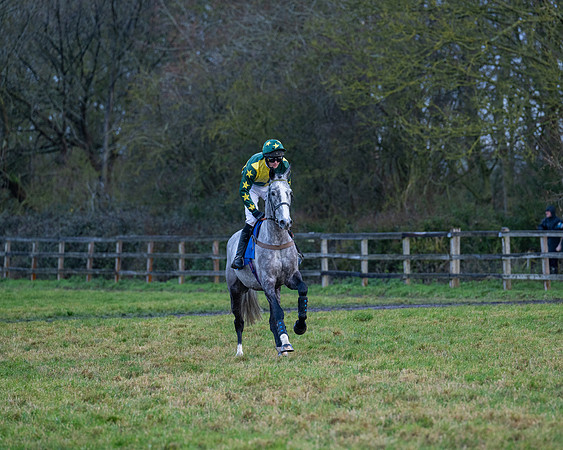 Race 7  -  The Maiden Conditions Race (32 of 190)