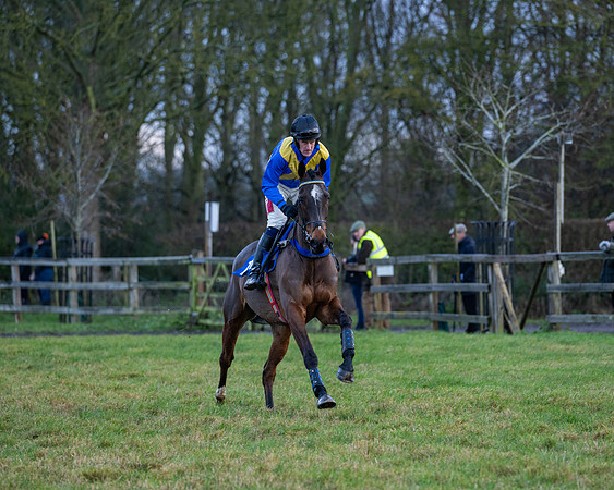 Race 7  -  The Maiden Conditions Race (41 of 190)