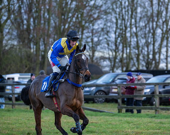 Race 7  -  The Maiden Conditions Race (46 of 190)