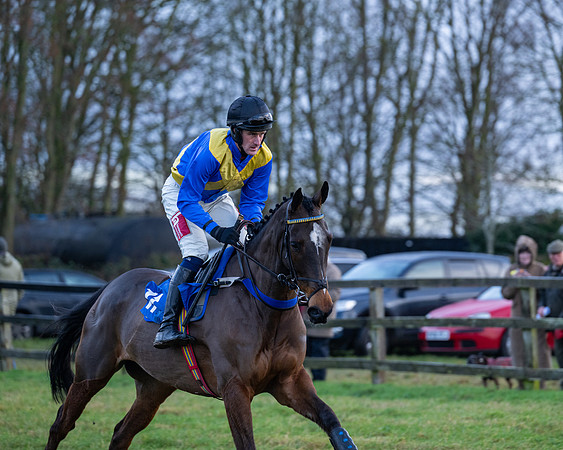 Race 7  -  The Maiden Conditions Race (47 of 190)