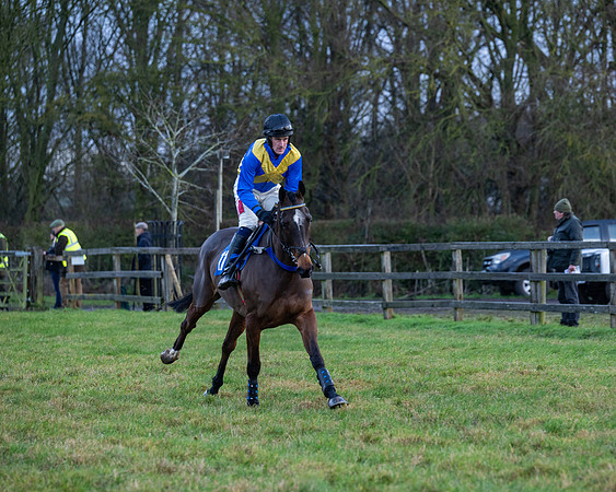 Race 7  -  The Maiden Conditions Race (45 of 190)