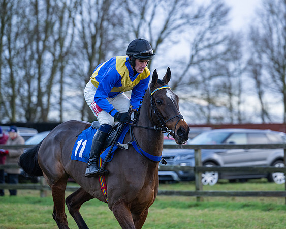 Race 7  -  The Maiden Conditions Race (50 of 190)