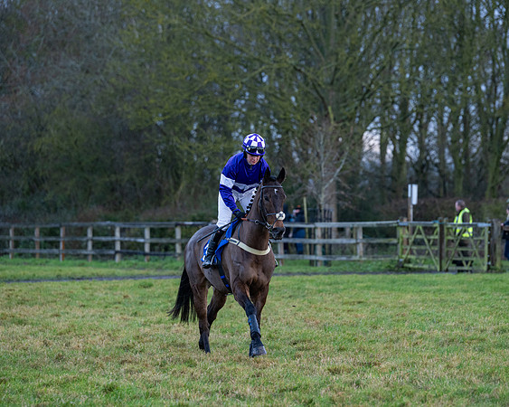 Race 7  -  The Maiden Conditions Race (56 of 190)