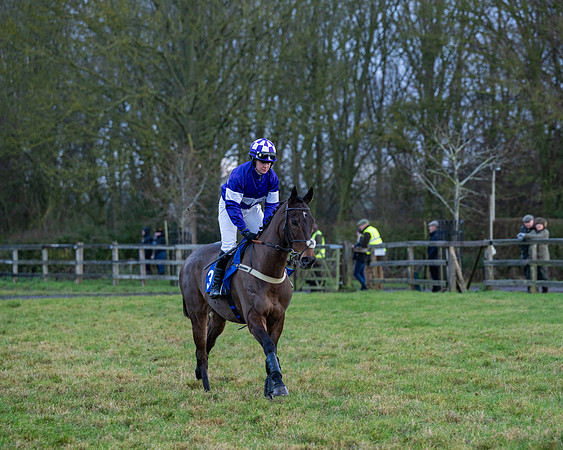 Race 7  -  The Maiden Conditions Race (57 of 190)