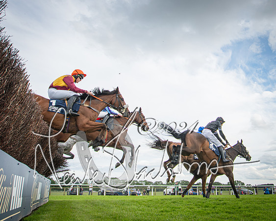 Race 1 - Pointing Pointers Restricted Final (42 of 79)