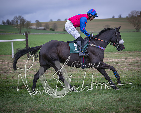 Race 6 - The Restricted Race (19 of 101)