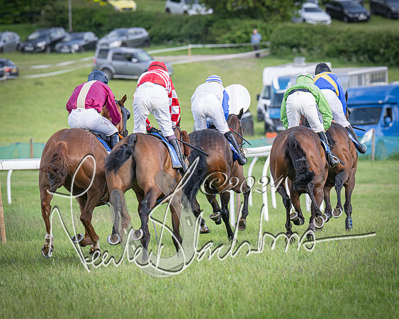 Race 6 - Thorn Plant Hire Maiden Race (80 of 129)