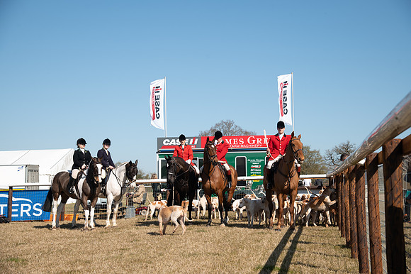 Hunt Horses annd Hound parade (12 of 44)