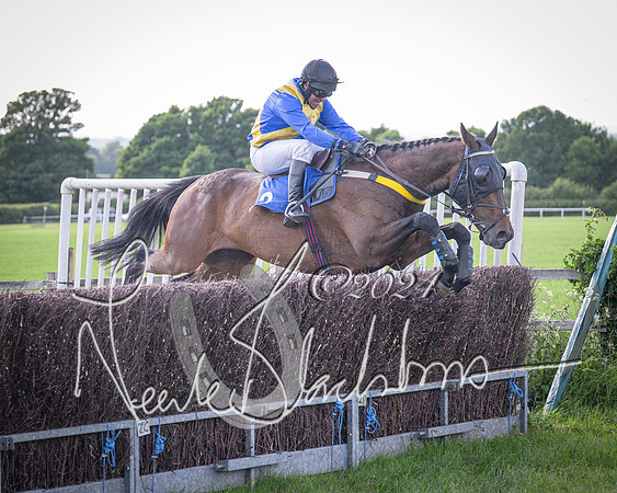 Race 6 - Thorn Plant Hire Maiden Race (99 of 129)