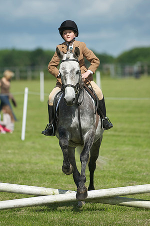 SOHS PC Summer Show at BCA 17th June 2012
