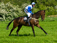 GR5_9534