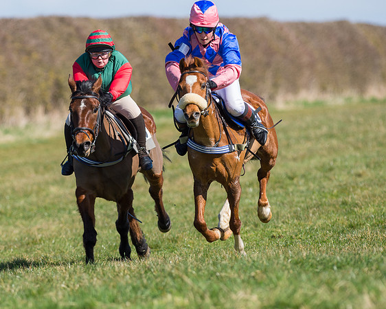 Oakley Ponies (46 of 96).jpg