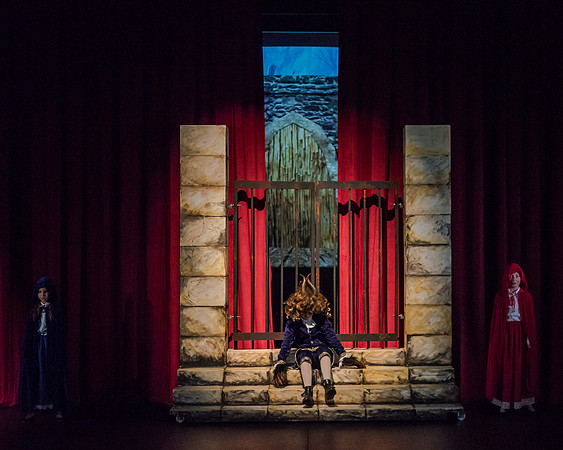 Beauty and the Beast (14 of 531)