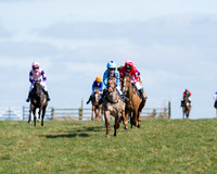 Oakley Ponies (10 of 96).jpg