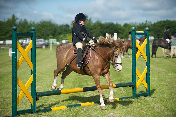 SOHS PC Summer Show at BCA 17th June 2012