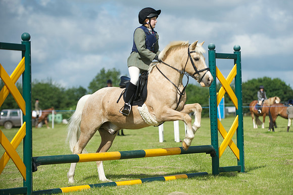 SOHS PC Summer Show at BCA 17th June 2012