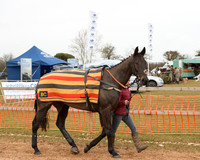 Race 4 - Ladies Open (3 of 85).jpg